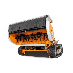 AS-Motor AS 1000 OVIS EVO RC